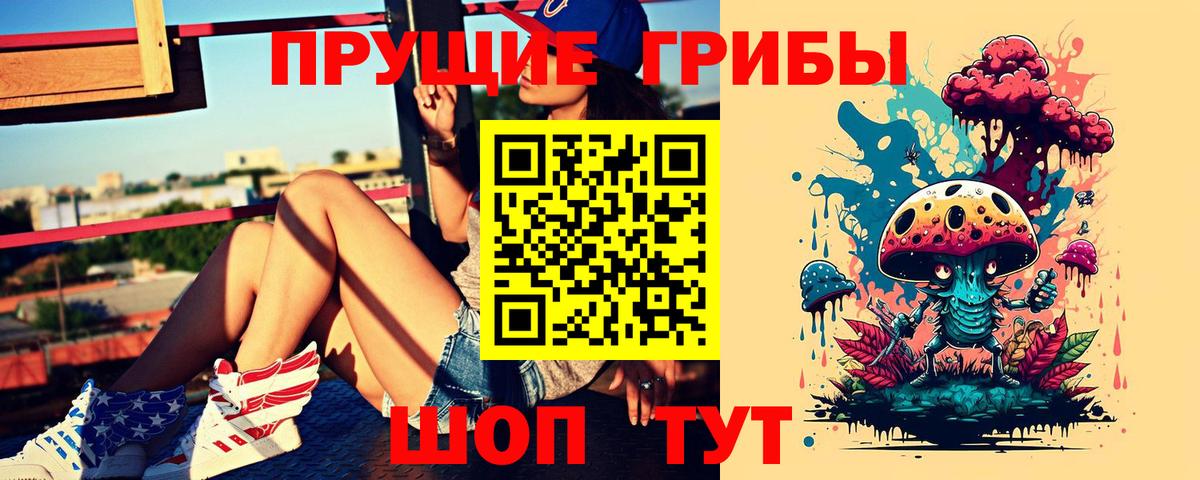 купить наркоту  Галлюциногенные грибы прущие грибы  Вход с VPN  Черкесск  Псилоцибиновые грибы GOLDEN TEACHER 
